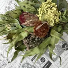 レモンユーカリとプロテアのスワッグ　40cm