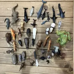 筋肉の父様 リクエスト 2点 まとめ商品