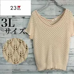☆大きいサイズ・3L☆23区 半袖ニット　葉っぱ総柄刺繍　ベージュ　44サイズ