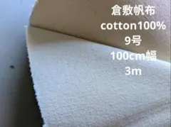 Item thumbnail for item 0fd05a94-d272-480f-aec6-59003f46f929