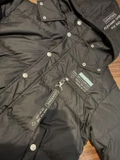 Item thumbnail for item 85af7ed5-0a9c-4d61-9a82-e6058ed1fda6