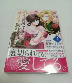婚約者に「あなたは将来浮気をしてわたしを捨てるから別れてください」と〜　3巻