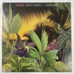 Mao様 リクエスト 2点 まとめ商品