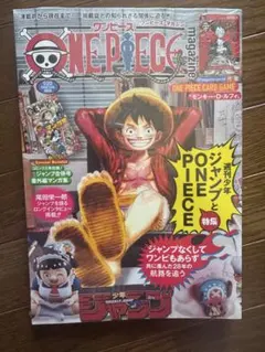 ワンピースマガジン vol.20 ルフィ 付録プロモカード付き - メルカリ