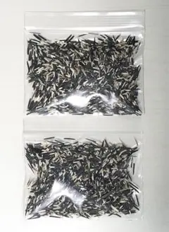 프렌치 메리골드 에버그린 (풋거름용) 씨앗 약 8g (2봉지)