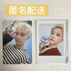 SEVENTEEN セブチ ホシ DREAM D トレカ チェキ 2枚セット