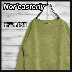 【新品未使用!!】nor'easterly セーター ハイネック bshop