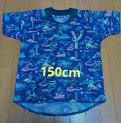 Item thumbnail for item 1c622f6d-7386-400c-b909-4110304e2e90