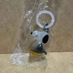 Item thumbnail for item 5afdf66b-fa4f-4ad1-b047-0e20a1660768