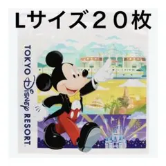 ディズニーリゾート　ショッピング袋　新デザイン　Lサイズ