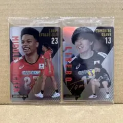 ウエハースカード サイン入り エバデタン・ラリー選手 小川智大選手 値下げ⭕️