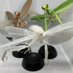 生き物大図鑑　カマキリ　ガチャガチャ　ガチャポン　まとめ売り　昆虫