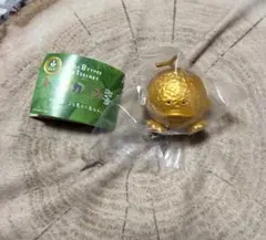 トリピカルズ　シークレットのサムネイル