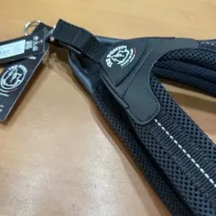 Item thumbnail for item 5aed723a-1fed-455d-b887-7b9bf663120e