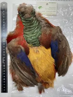 Item thumbnail for item a284e670-330f-475d-944f-a7dd0956c76f