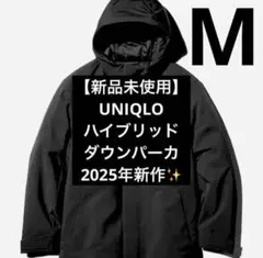 Item thumbnail for item 30a578e4-b8ae-445e-b1ee-1a1a2c0c32d2