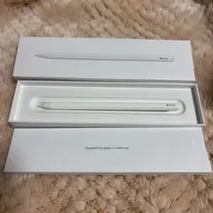 【動作OK】Apple Pencil Pro ジャンク品（割れ・噛み跡あり） 動作OK】Apple Pencil Pro ジャンク品（割れ・噛み跡あり） - メルカリ