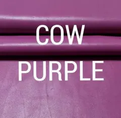 Po様 リクエスト 2点 まとめ商品