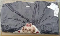 Item thumbnail for item f3e624db-02ad-4c6e-af6c-8cc410e7461c