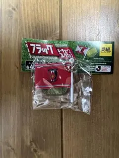 浦和レッズ 応援グッズ