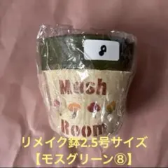 マッシュルーム リメイク鉢 2.5号サイズ12個フルセット マッシュルーム リメイク鉢 2.5号サイズ【ピンク①】 - メルカリ