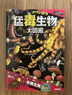 Item thumbnail for item 9ece41b5-c51a-40d8-a3d7-8ddfc4c5541f