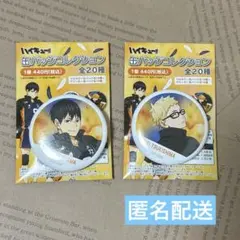 ハイキュー 缶バッジコレクション