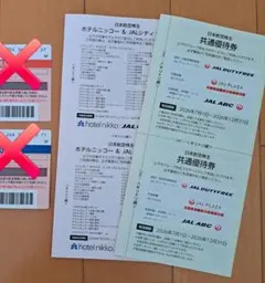 日本航空 共通優待券 ホテル優待券のサムネイル
