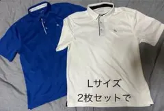 Item thumbnail for item 2d6ce95b-62e0-46e7-904a-51f99591a3e8