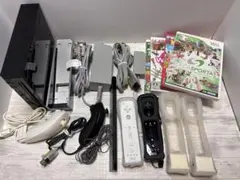 Wii本体 黒 リモコン・ヌンチャク・複数ソフト付き