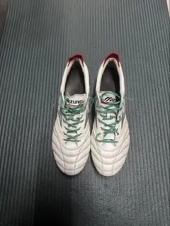 モレリアネオ4SG天然芝用