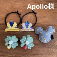 Apollo様ご確認用☆ベビーヘアクリップ　ヘアゴム