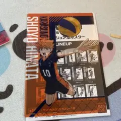 日向翔陽 クリアビジュアルポスター