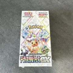 2025年最新】テラスタルフェスEX 1boxの人気アイテム - メルカリ