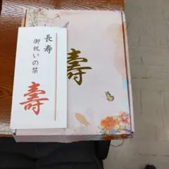 Item thumbnail for item 1855cd5f-2b5b-4815-aeab-1197baccfe5e