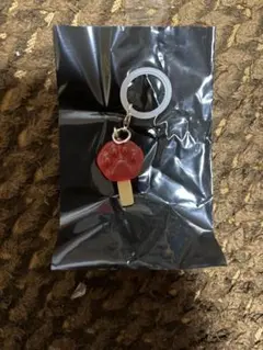 ズートピア2 めじるしアクセサリー　アイスキャンディー