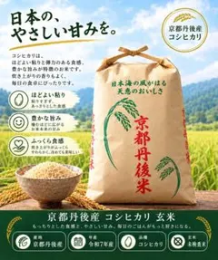 京都 丹後米 令和7年産 コシヒカリ 玄米 30Kg - メルカリ