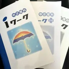iワーク 解答解説 iワークプラス 中2 理科