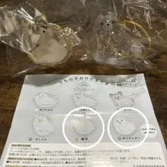 うちの子のけだまだま　柴犬　ポメラニアン