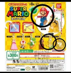 スーパーマリオ めじるしアクセサリー
