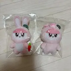 ボンボンイ ぶた Amazon.co.jp: ボンボンイ ブタ : ホーム＆キッチン