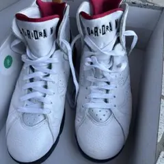 Item thumbnail for item d5ffc265-f40a-48df-86bf-d078ccfa440e