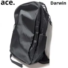 未使用　ace. エース　Darwin ダーウィン　ビジネスバッグ　リュック　黒