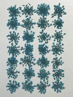 押し花素材パック　レースフラワー（ブルー）20個入 No1050