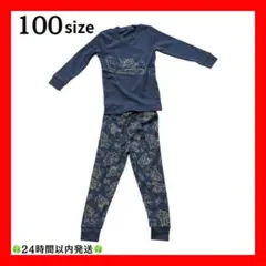 Item thumbnail for item f9488eb5-95c0-488c-a159-2b98e12a26ec