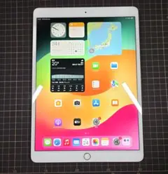 （微ジャンク）iPad Pro 10.5インチ 256GB Wi-Fiモデルのサムネイル