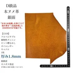 Item thumbnail for item b9a644ab-e45d-4c33-869a-18863c97e169