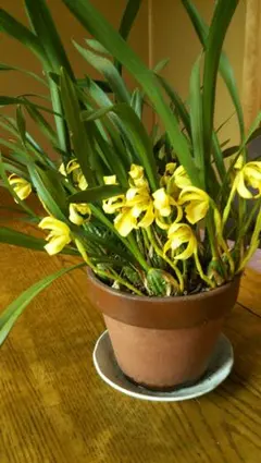 REIKO様 リクエスト 2点 まとめ商品