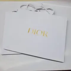 Dior ショッパー 2枚セット