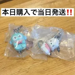 めじるしアクセサリー 산리오 エモきゅん ハンギョドン ポチャッコ
